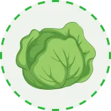 汇聚全球体育精彩 - 斗鱼网页版