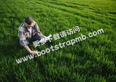 探索体育娱乐的无限可能 - 斗鱼网页版